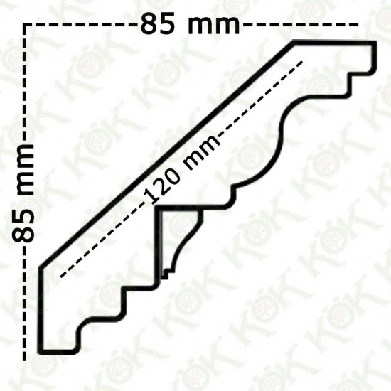 1611-035 Kartonpiyer Taç Ayous